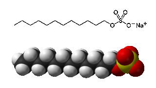 Laurylsulfate de sodium, Dodcyle sulfate de sodium, LSS (E487)